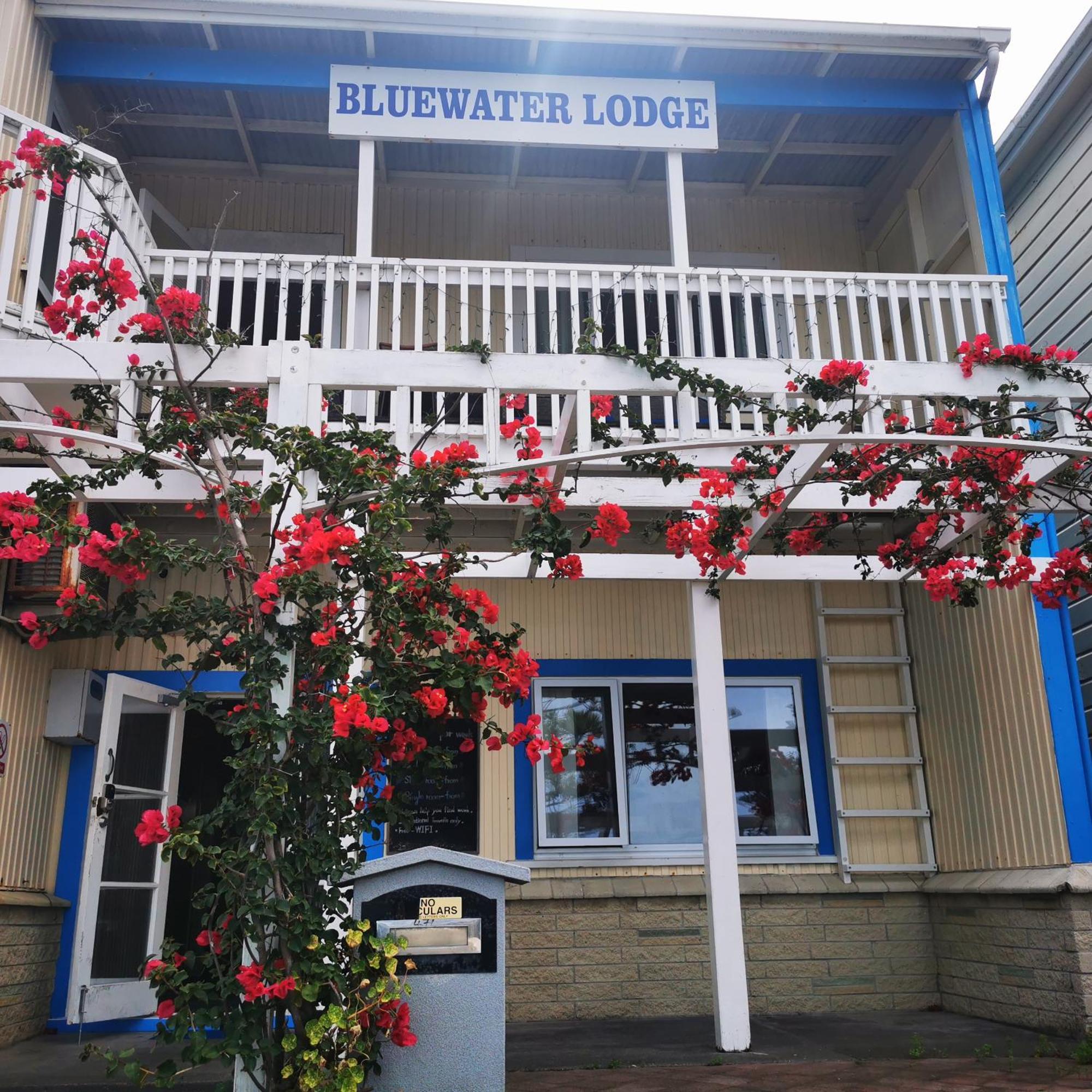 Bluewater Lodge نابيير المظهر الخارجي الصورة
